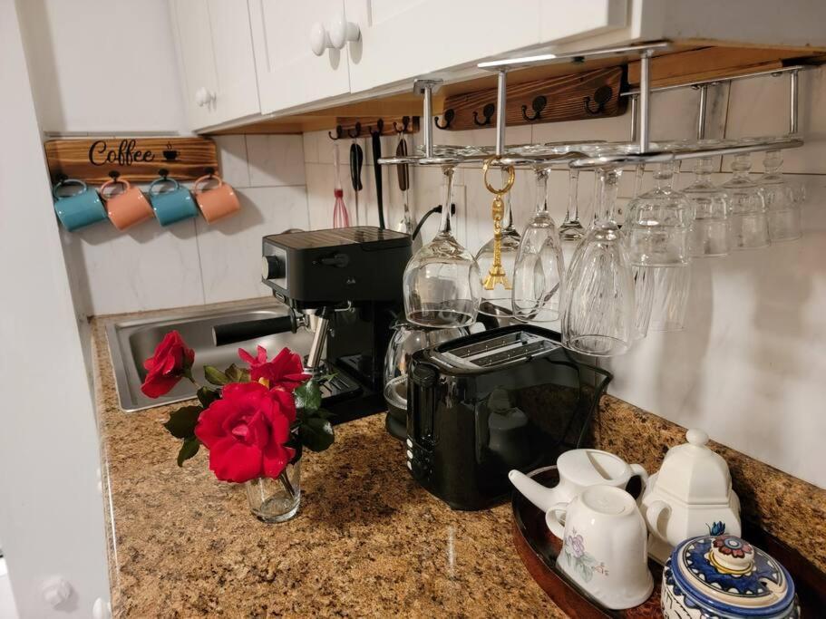 Comfy And Chic Boston Apartment! Free Parking Eksteriør billede