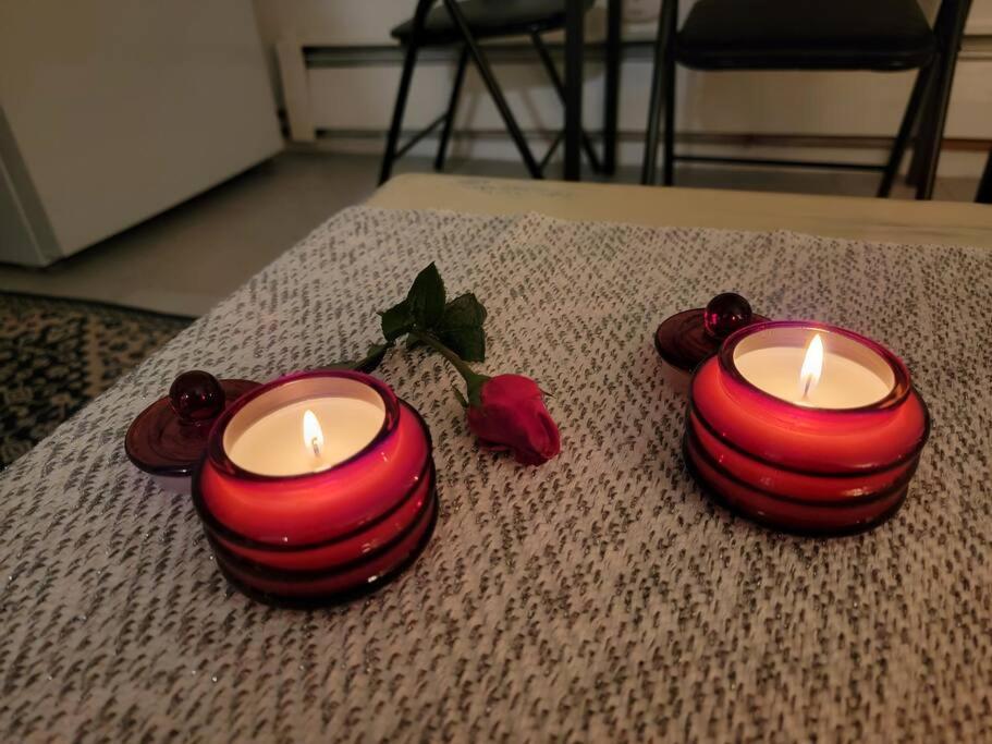 Comfy And Chic Boston Apartment! Free Parking Eksteriør billede